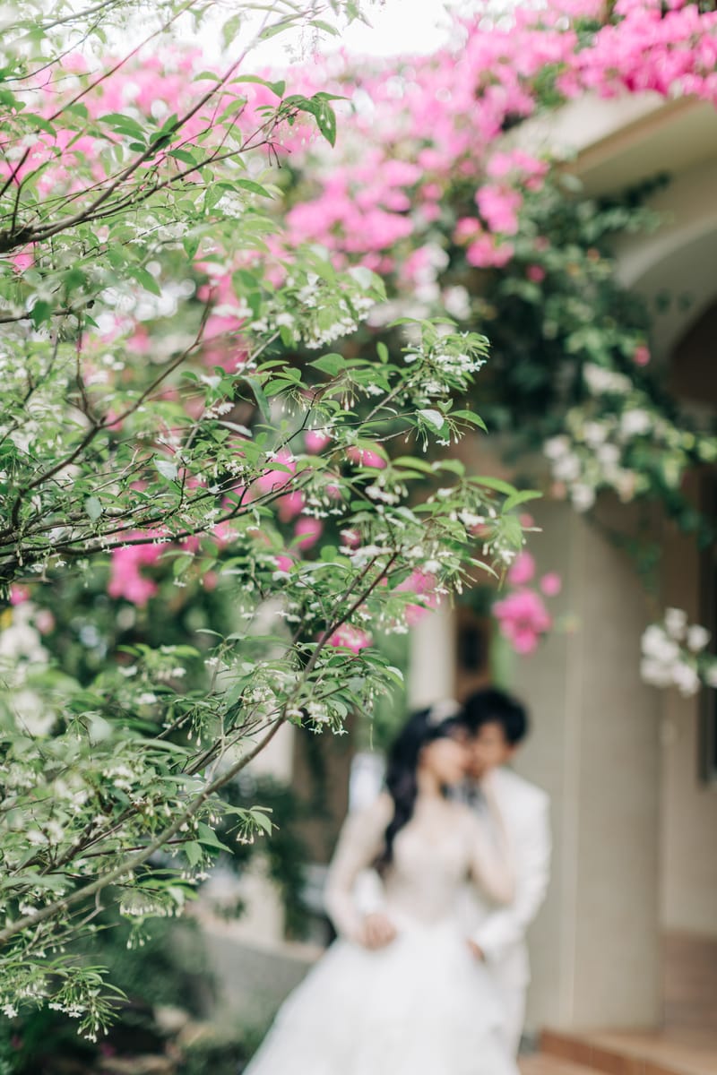 旅行沙洲張J婚禮